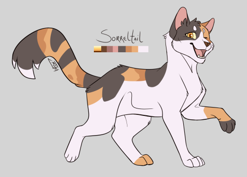 Designing WC - Sorreltail - Rainwhisker - Sootfur Sorrel girl&hellip; and her brothers