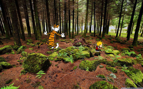 andreinandrea:Calvin and Hobbes vs Real LifeFotografo: Michael S. Den Beste.