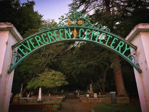 I don’t know how I grew up going to #HarveyWestPark and never knew about #EvergreenCemetery in