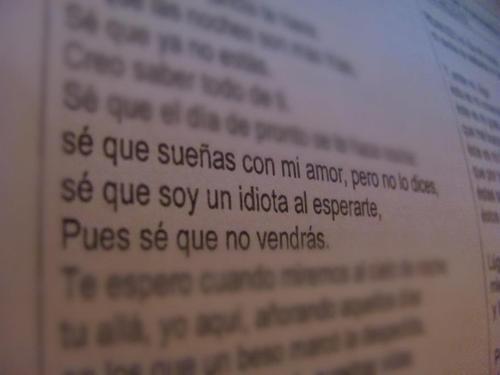 En los libros me encontré...