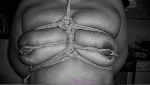 XXX SHIBARI photo