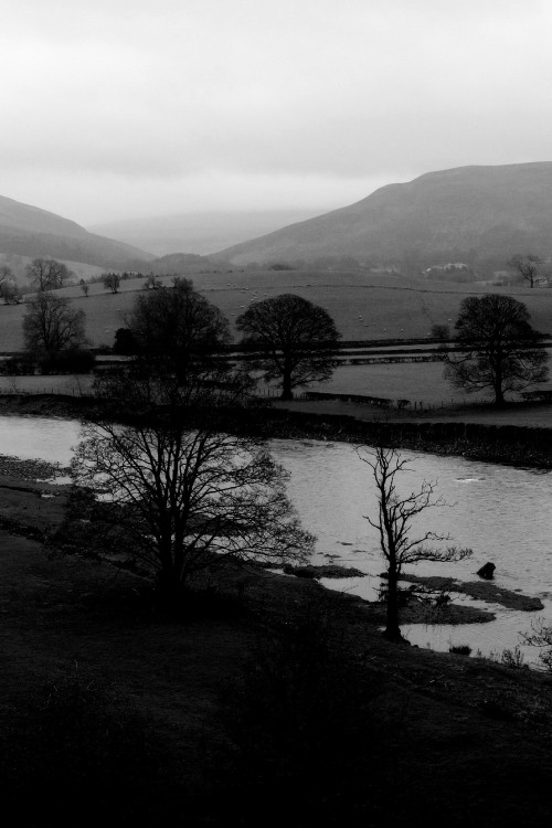 blacksmithseye:  6th Feb 2016…
