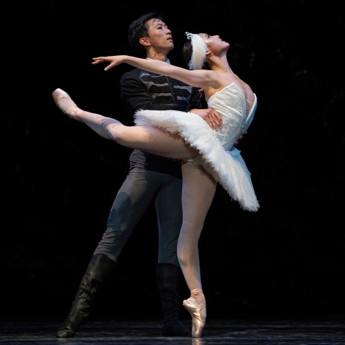 wei wang and wona park photographed performing as prince siegfried and odette/odile in swan lake by 