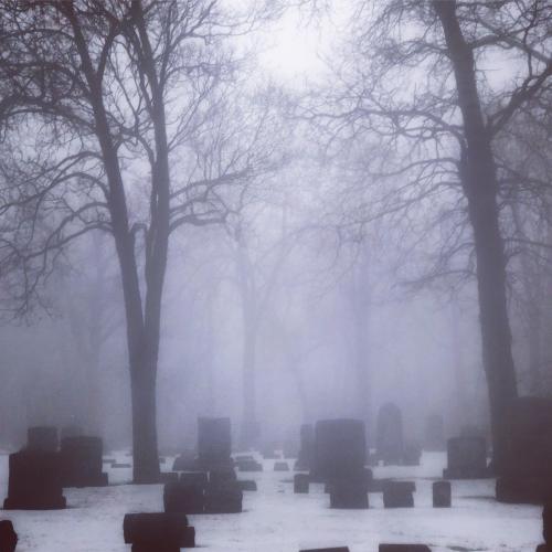manfrommars2049:Cemetery shrouded in fog