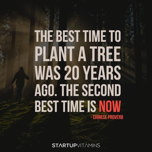 “The best time to plant a tree was 20 years ago. The second best time is now.“ - Chinese proverb