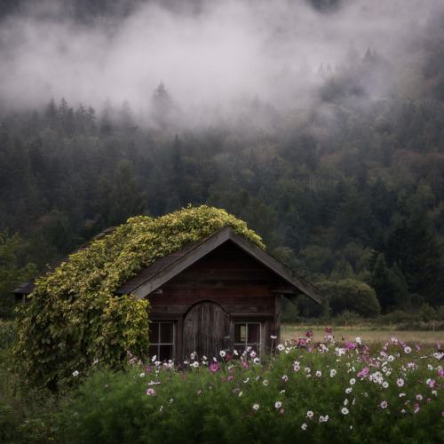 breathtakingdestinations:Skagit Valley - Washington - USA (by Michael Bolognesi) 