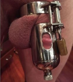 chastitylovernl:  Iron Maiden again.. spikes and urethal insert 