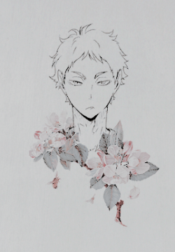 meruis:  Akaashi Keiji 