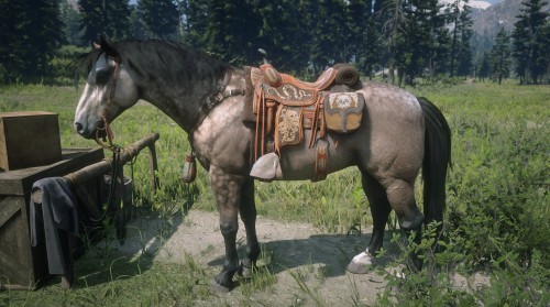 Showcasing the horses I have in “Red Dead Online”. Some new, some old with a lot le