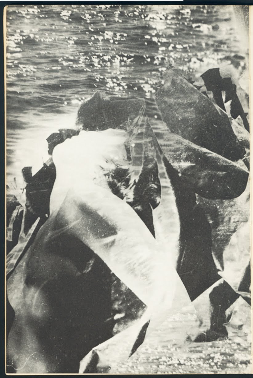 insidethevelvetcave:  Val Telberg photomontages in Anaïs Nin’s House of Incest.