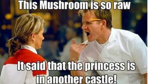 ecstasyofdeath:  justanother-fuckedup-paper-girl:  An array of all my favourite Gordon Ramsay memes  I’ve been watching a lot of Hell’s Kitchen lately. 