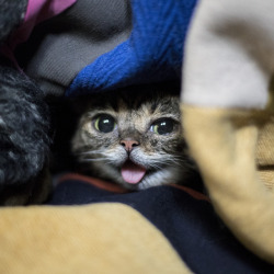 bublog: Found ya, BUB.