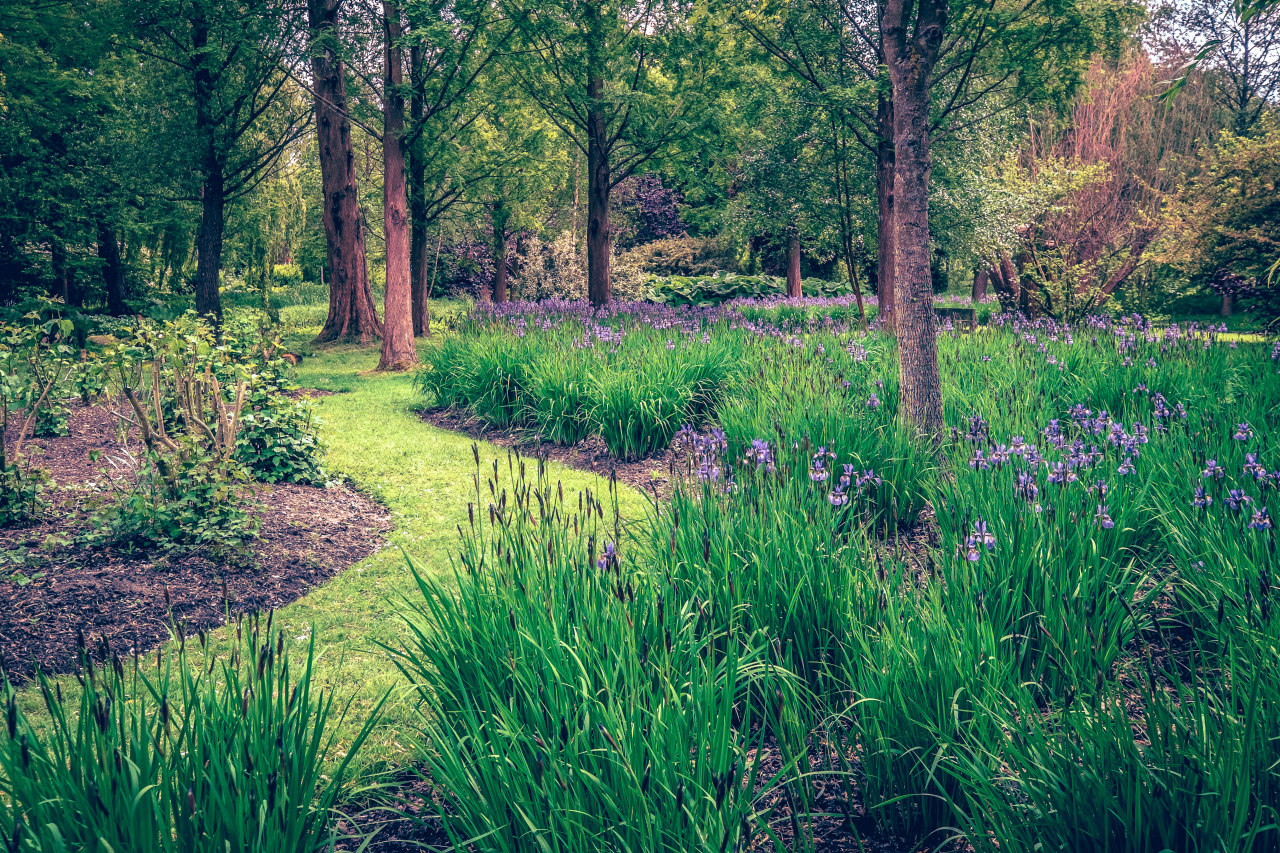 theencompassingworld:  mbphotograph:  England (by mbphotograph) Follow me on Instagram