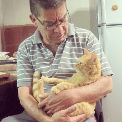 Después de estar un mes en Medellín, mi gata estaba metiendo gatos a mi cuarto… mi papá la esta regañando