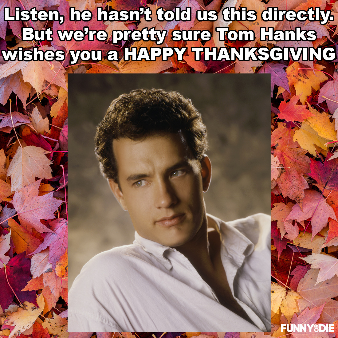 Happy Thanksgiving from Tom Hanks and Funny Or Die