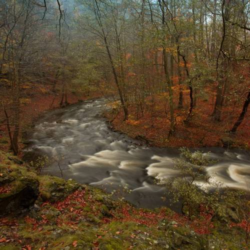 witchyautumns: ** Autumn in the Netherlands **by vincentcroce instagram