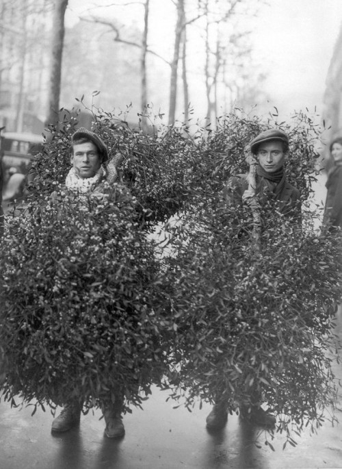 blondebrainpower:Two Men Toting Mistletoe