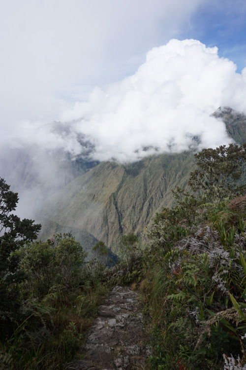 Day 5 of the Salkantay trekViews of clouds covering the mountains around Machu Picchu early in the m