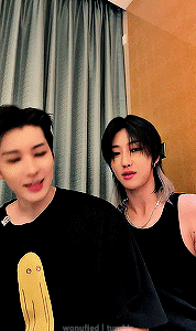 Black Cat Line