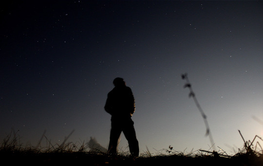 We Are All Stardusts in a Place That Is Us