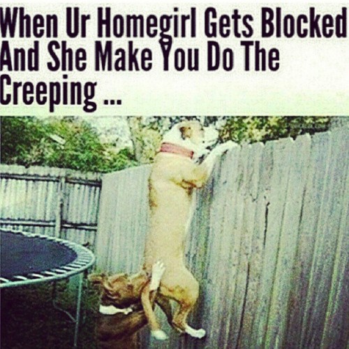 Gurl, I got chu! #homegirlsbelike #chismosas