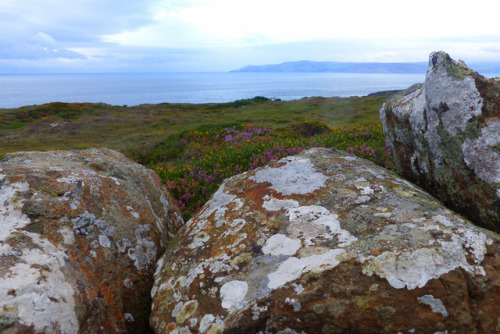 Rathlin Island by Sylvi
