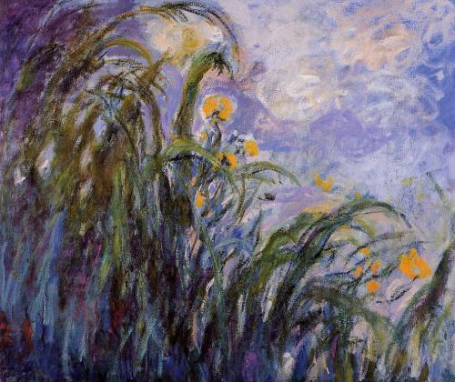  Iris flower  Monet 