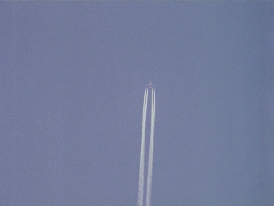 timotheescloset:Close Up (1990) dir. Abbas Kiarostami