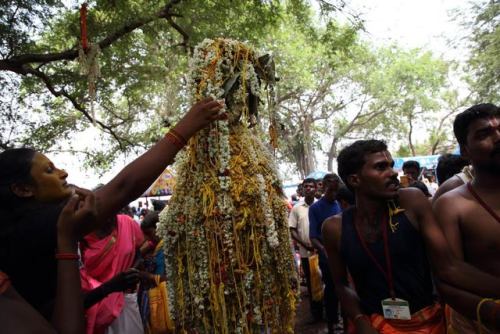 Aravan transgender festival.Every year in the month of Chaitra (April/May), the sleepy village of Ko