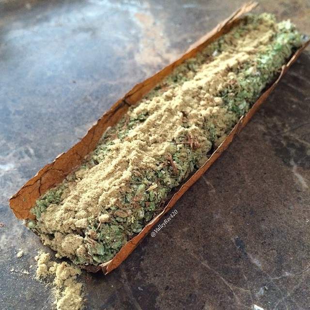 weedporndaily:  Blackberry Kush and Kief by @valleyrec420