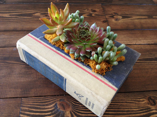 sosuperawesome:Upcycled Vintage Book Planters by PaperDame on Etsy• So Super Awesome is also on Face