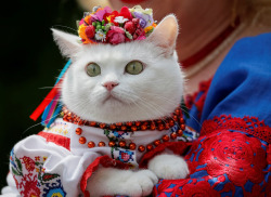 killing-the-prophet: A woman dressed in a traditional Ukrainian embroidered shirt holds her cat as she take part in an embroidered shirt parade in central Kiev, Ukraine, on May 27, 2017.Gleb Garanich