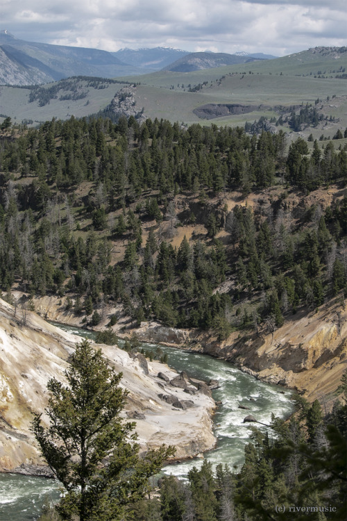 The Yellowstone River at Calcite Springs, Yellowstone National Park, Wyoming&copy; riverwindphot