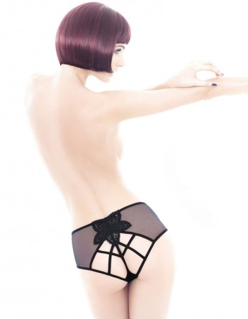 aricielingerie:   http://www.aricielingerie.com/collections/italian-lingerie/parah-lingerie.html 