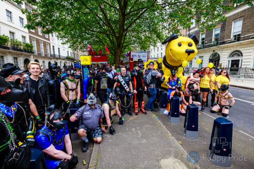 puppyprideuk:  Photos from Pride In London 2016  Copyrights to boundpics.co.uk