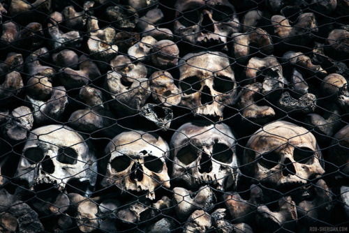 The skulls of San Bernardino Alle Ossa. Milan, Italy. Photograph by Rob Sheridan. June, 2009. Prints