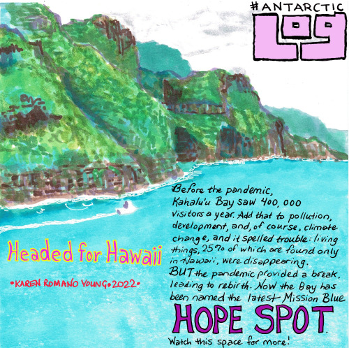 In this week’s #AntarcticLog, Karen Romano Young is in Hawaii for some R & R but also chec