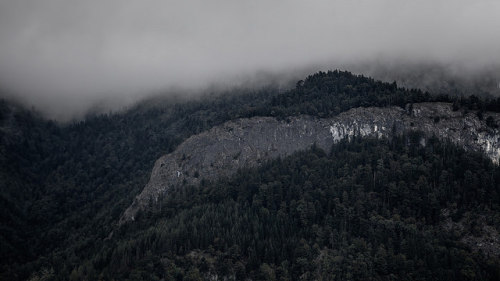 Fog in the mountains by WIE? GAND! PHOTOGRAPHY on Flickr.