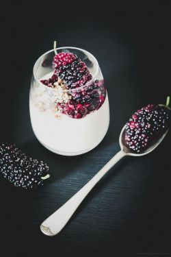 confectionerybliss:  Panna Cotta with Mulberry