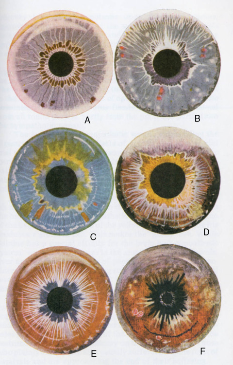 Scientific Illustration