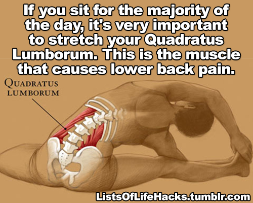 i-is-kenii: listsoflifehacks: Life Hacks to Banish Back Pain &amp; Neck Pain