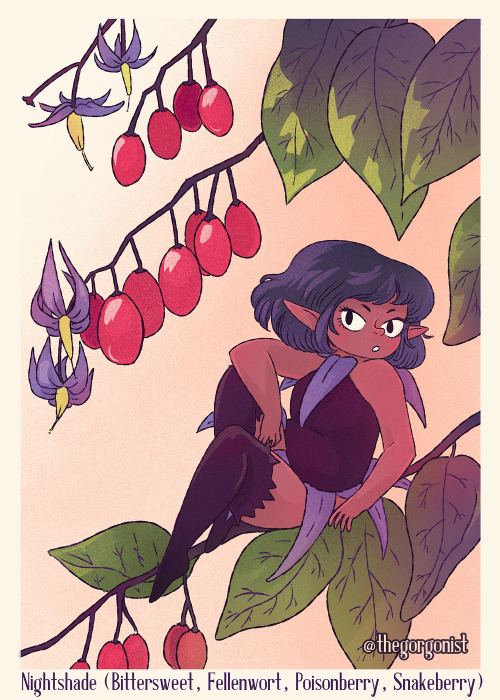 Two days of poisonous flower fairies! 16 was Mistletoe, 17 the plant I&rsquo;ve always known as Dead
