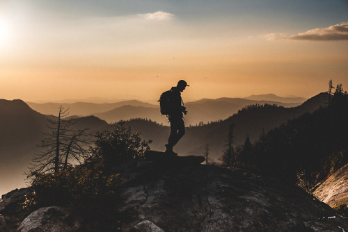 pkatkins: Sequoia National Park / February 2018