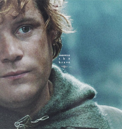 kittykili:  ... frodo wouldn't have gotten