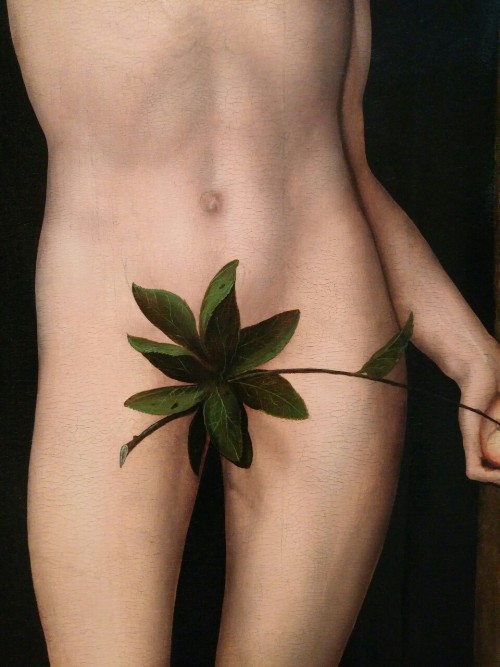 little-fig:Adam and Eve, c. 1530Lucas Cranach
