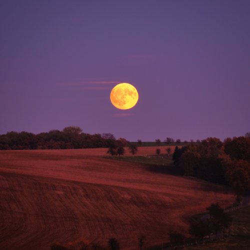 ausloeserin:purple moonrise (by ausloeserin)
