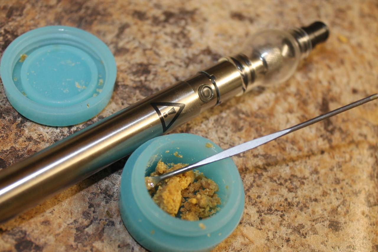 shydolphin:  ole’TN sesh 2014 doe flosstradamus  