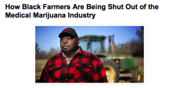 oneoakdutch:  seemeflow:  Still High on Capitalism…as predominantly rich, white, upper class, cash in on “The Green Rush”. People of color and Poor People are left on the sidelines or sit in Jails and Prisons.The legalization of marijuana is spreading