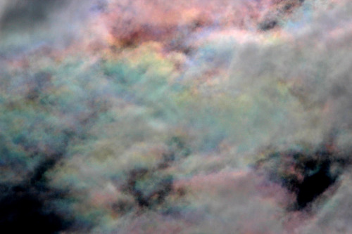 awkwardsituationist: cloud iridescence — caused as light diffracts through tiny ice crystals o
