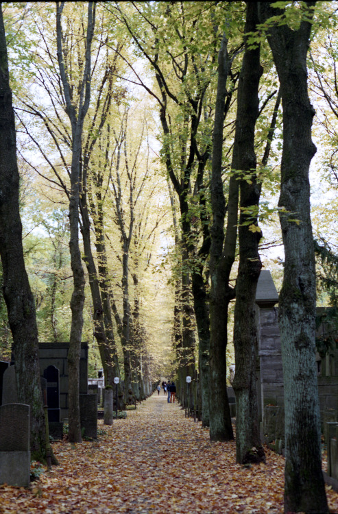 Weißensee Jewish CemeteryBerlin